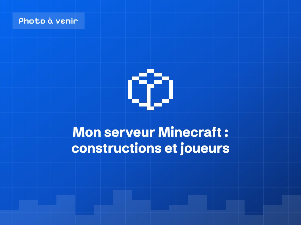 Constructions et joueurs sur un serveur Minecraft géré par Tyméo SEKKAL